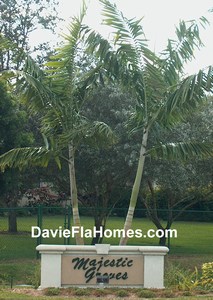 Majestic Groves in Davie Florida